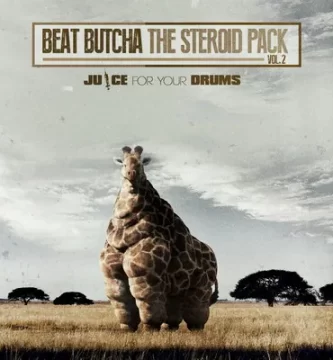 VST Download Download