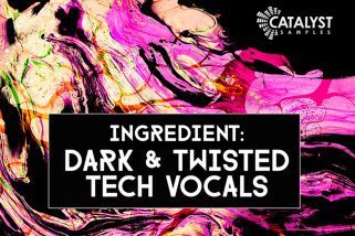 Dark and Twisted Tech Vocals WAV