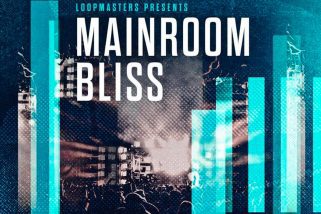 Loopmasters Mainroom Bliss MULTI