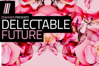 Zenhiser Delectable Future WAV